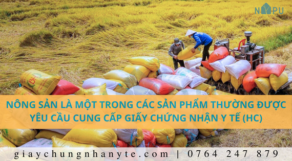 Các thủ tục và quy trình đăng ký cấp giấy chứng nhận y tế